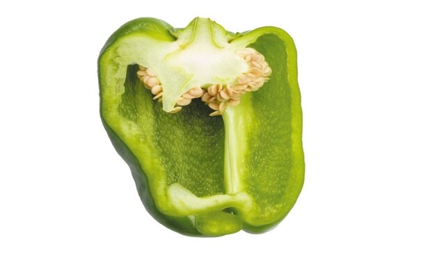 栄養摂取か、苦み軽減か