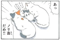 「あっ、ダメ！」家に来たばかりの子猫から目が離せないお母さん