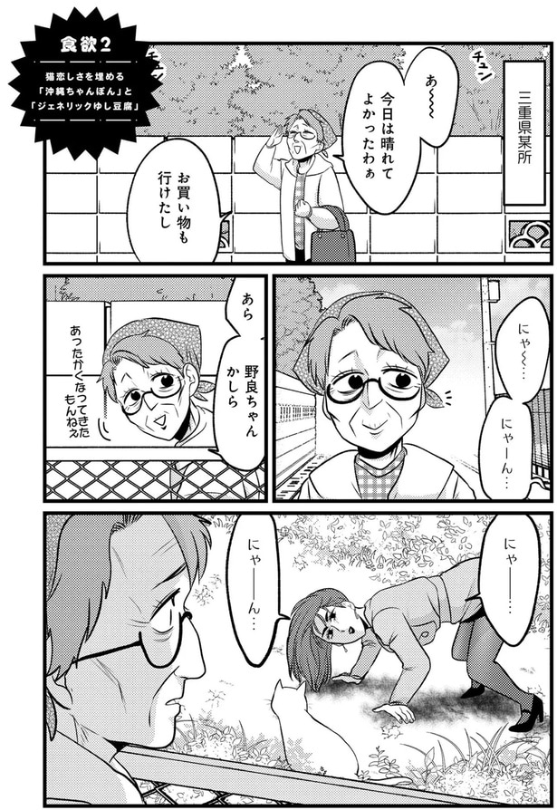 あら、野良ちゃんかしら