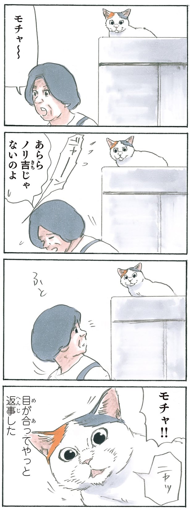 かくれんぼを楽しむモチャ