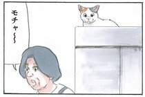 名前を呼んでも返事なし。探していた猫とようやく目が合うと？