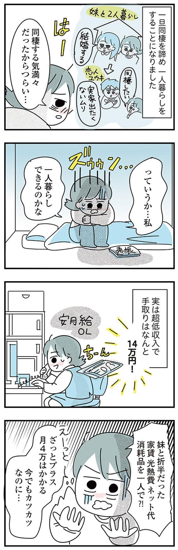 実は超低収入で