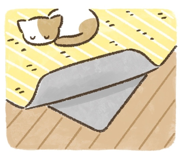 カーペットの下に断熱シートを敷く