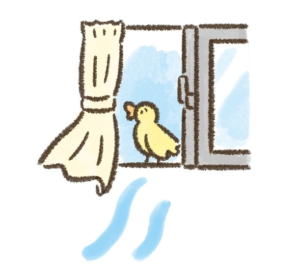１時間に１〜２回窓をあけて換気をしよう