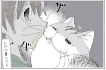 飼い主と猫のスキンシップ。仲良さそうに見えるけれど、互いに不満があるようで？