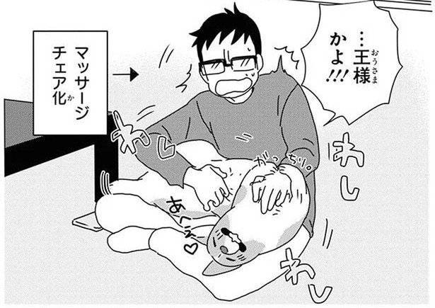 まるで王様扱い！飼い主による手厚いホームケアの成果