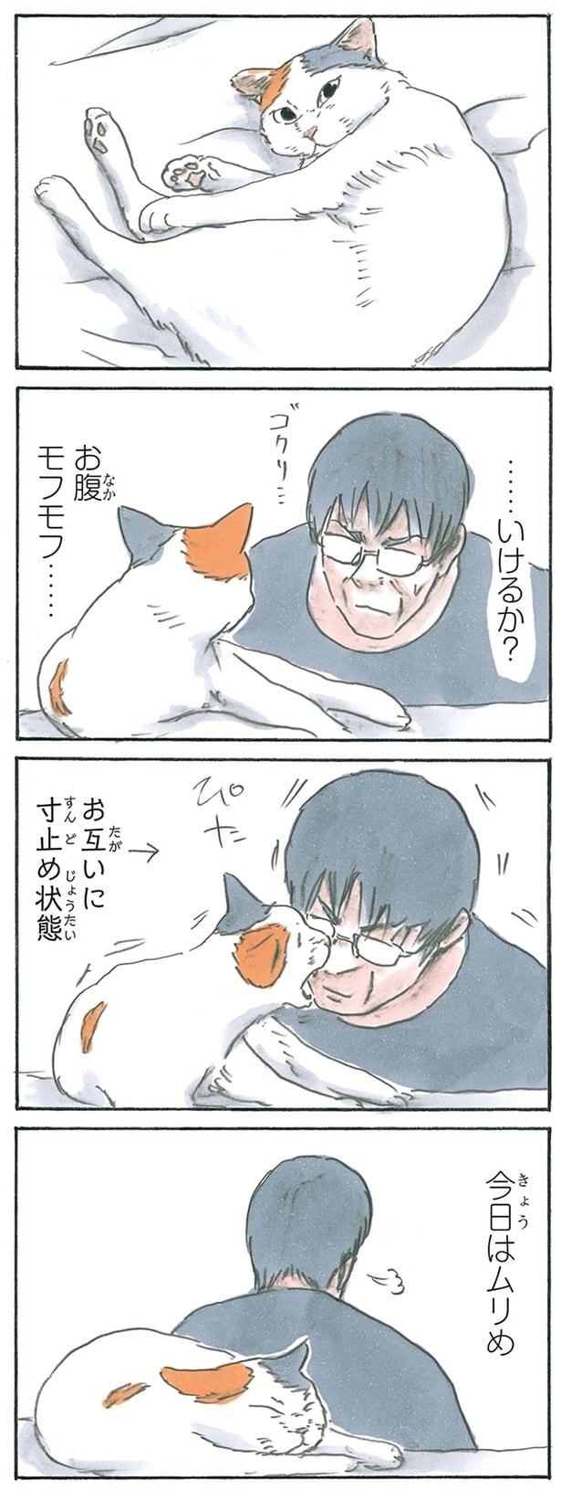 モフモフチャレンジ