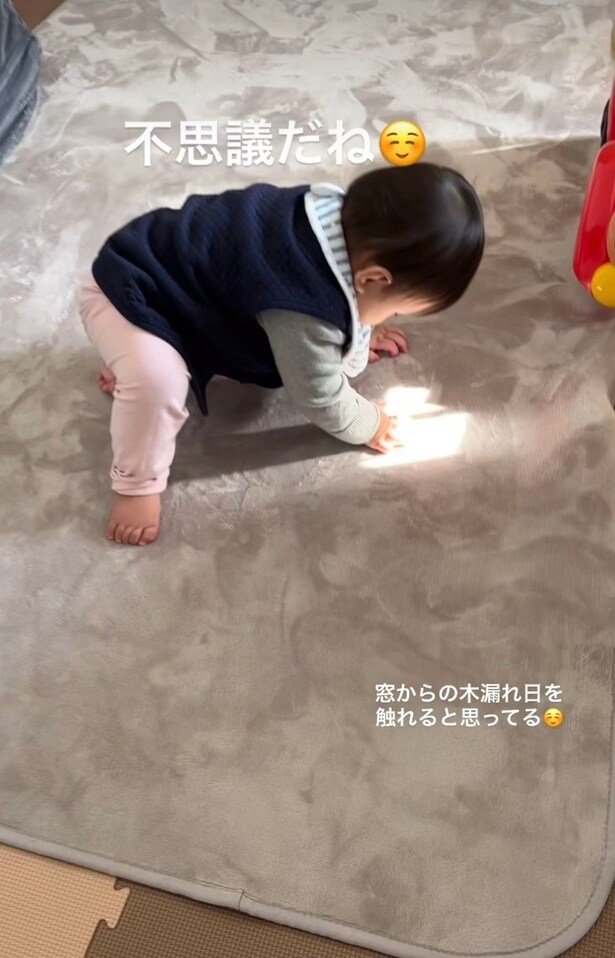 木漏れ日…さわれるかな▶（次画像から保育園児のおもしろエピソードが満載の『ただいま！ 保育士でこ先生』が読めます）