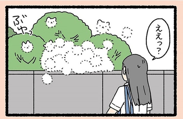 一匹の大きな猫みたい！ よく群れる習性がある「けさらんぱさらん」