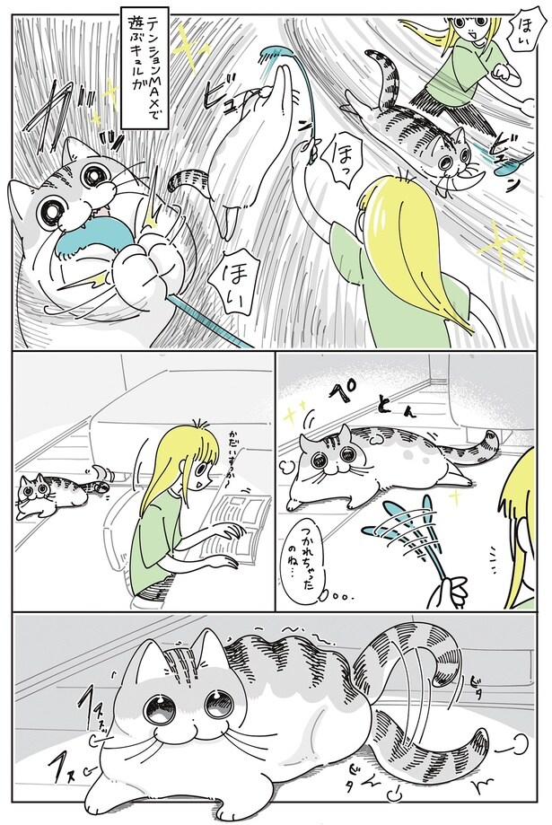 つかれちゃったのね…