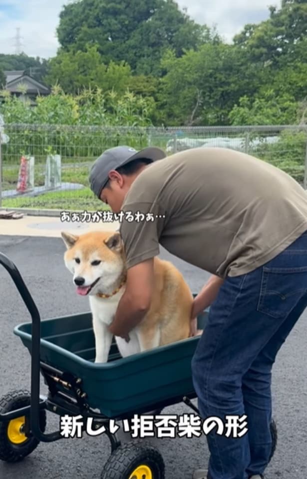 カートから降りるのを拒否する“おもちくん”▶あっさり降りた理由は（⇒次へ）