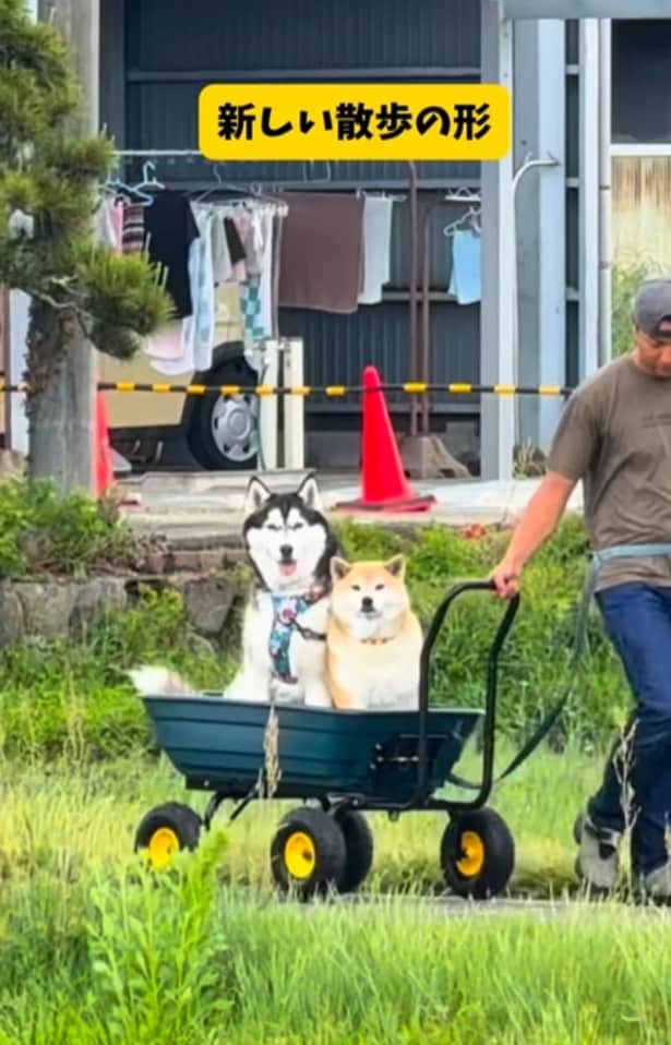 カートによる新しい散歩の形▶狭くない？（⇒次へ）