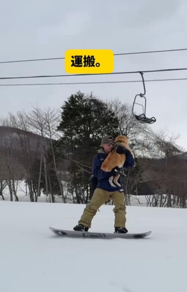 ワンちゃんを抱っこしたままスノボもできる▶（次画像からマイペースな柴犬との実録をえがいた『柴犬ぽんちゃん、今日もわが道を行く』が読めます