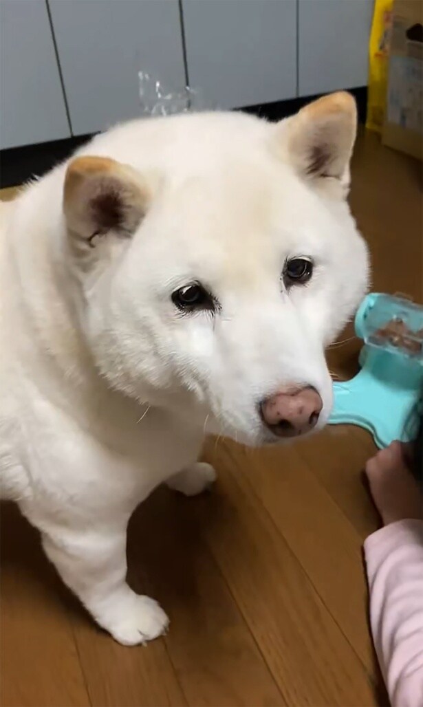 「どうしてでないの？」▶実際のポストはこちら！（⇒次へ）