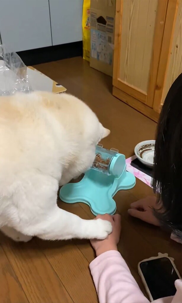 手を置いたのはなんとご家族の手！▶なんでこっち!?（⇒次へ）