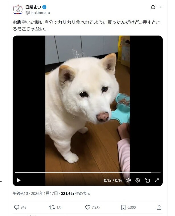 押すところそこじゃない…▶訓練開始だ！（⇒次へ）