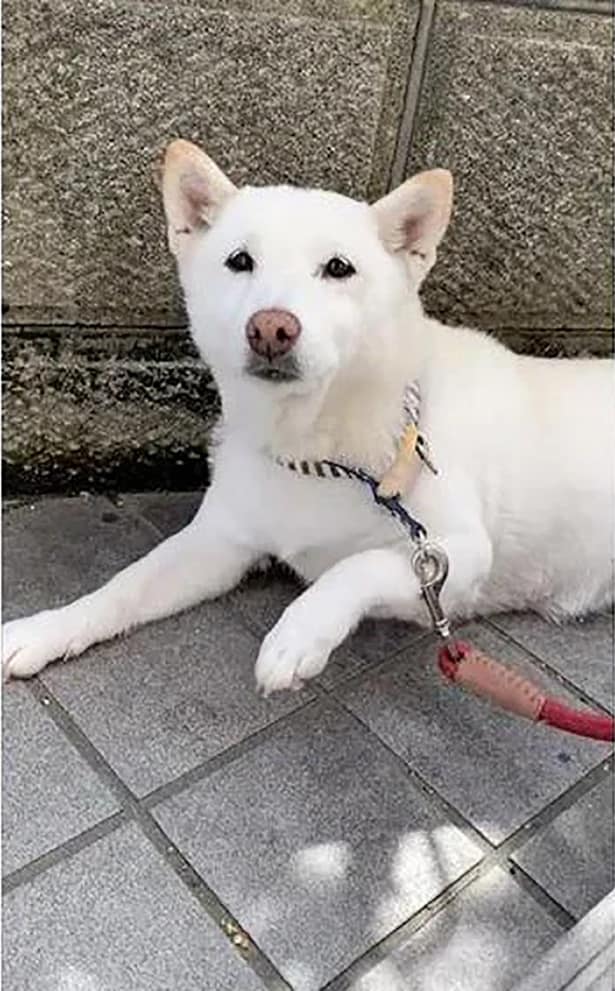 でも打ったの逆の足だよね…？▶足のぽってり具合にキュン♪（⇒次へ）