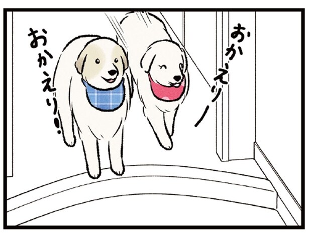お父さんが帰ると玄関でお出迎えする愛犬たち。息子が帰ってくると？