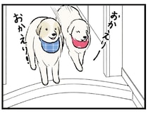 お父さんが帰ると玄関でお出迎えする愛犬たち。息子が帰ってくると？