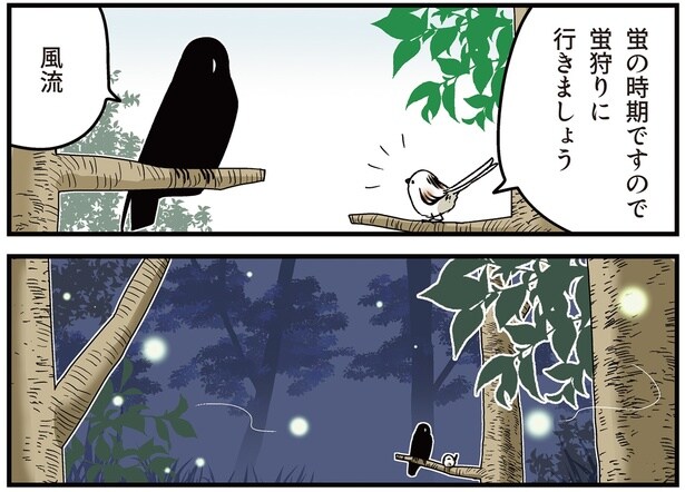 蛍の時期ですので