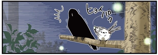 カラスさんとシマエナガが蛍狩りへ。風流を感じていたら全く違う展開に