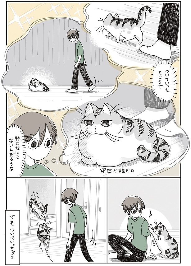 特に何もないんだろうけど…