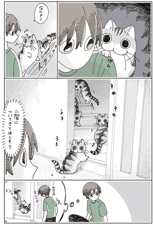 ついてきてほしそう