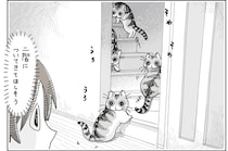 2階についてきてほしいの？ そわそわうろうろする猫に呼ばれているようで