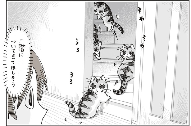 2階についてきてほしいの？ そわそわうろうろする猫に呼ばれているようで