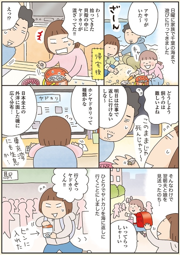 行くぞっヤドカリくん!!