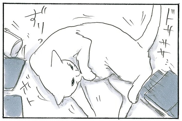 一切の遠慮なし…？