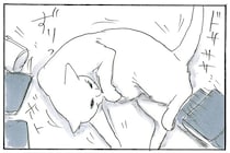 読書する飼い主の目の前に参上！ 机のものをどかしても手に入れたい場所