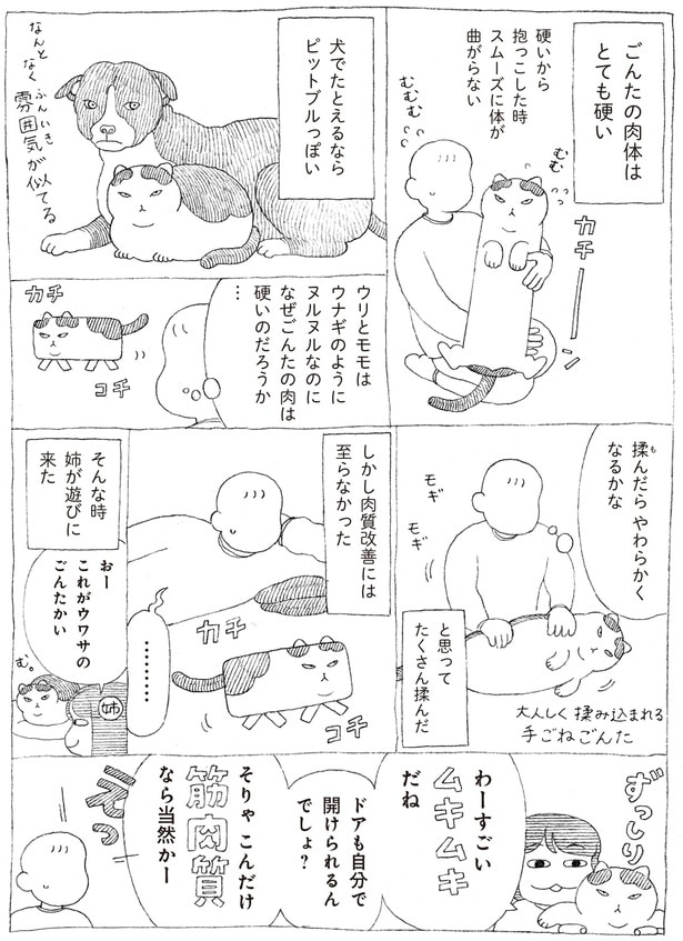 ごんたの肉体はとても硬い