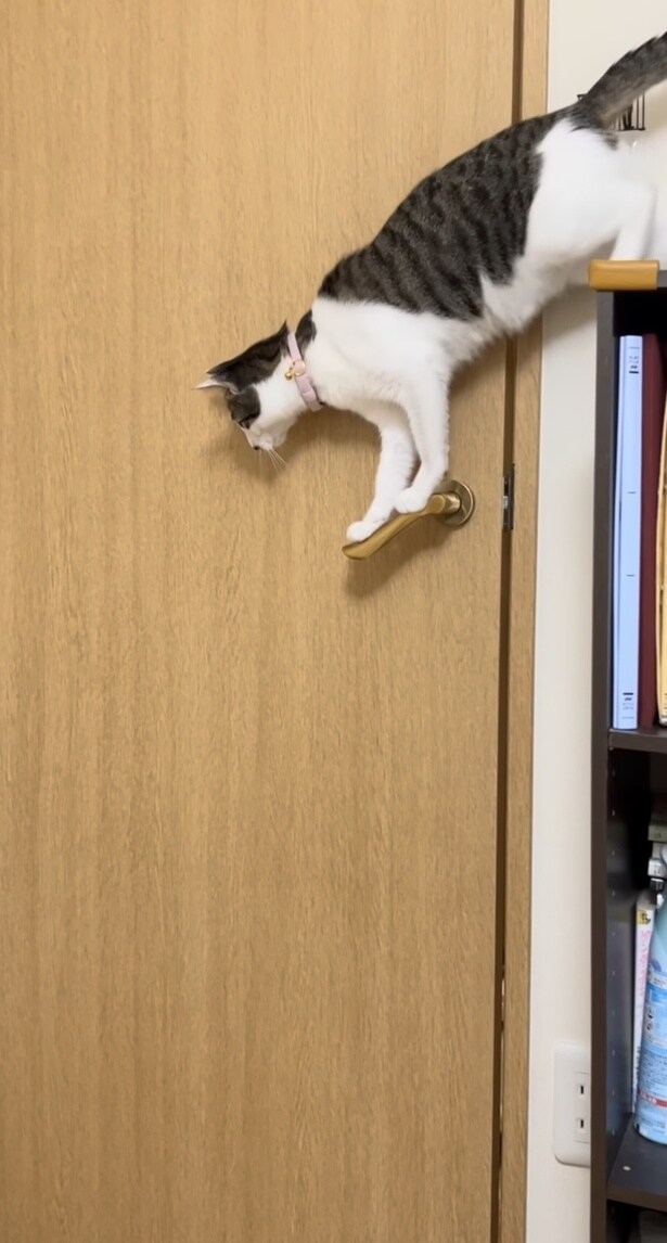 ドアノブに体重をかける（⇒次へ）