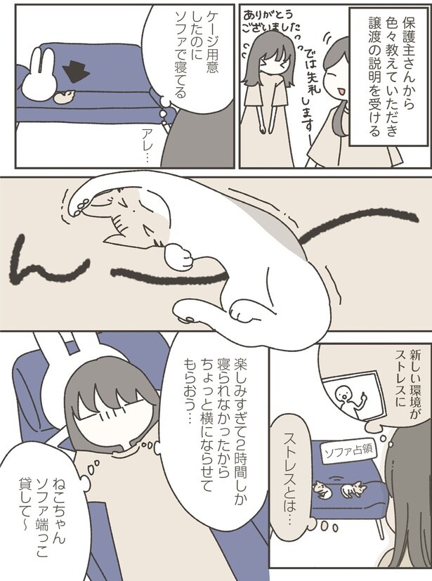 保護主さんから色々教えていただき