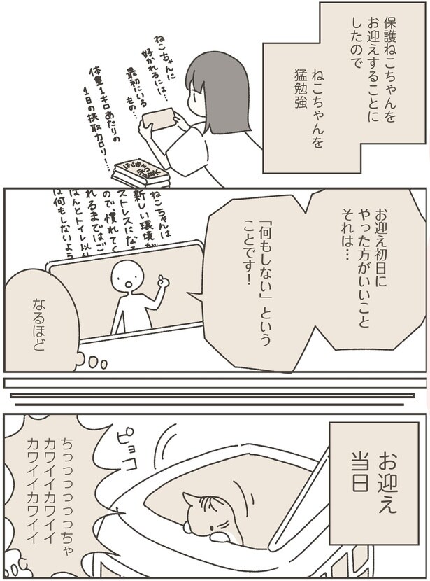 ねこちゃんを猛勉強