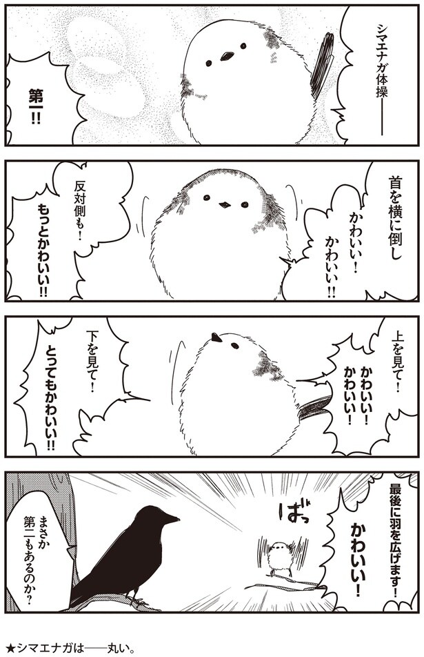 まさか第二もあるのか?