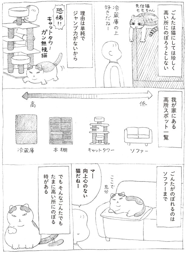 ジャンプ力がないから