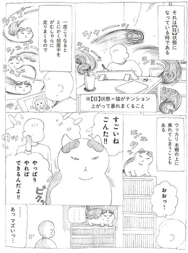 すごいねごんた！！