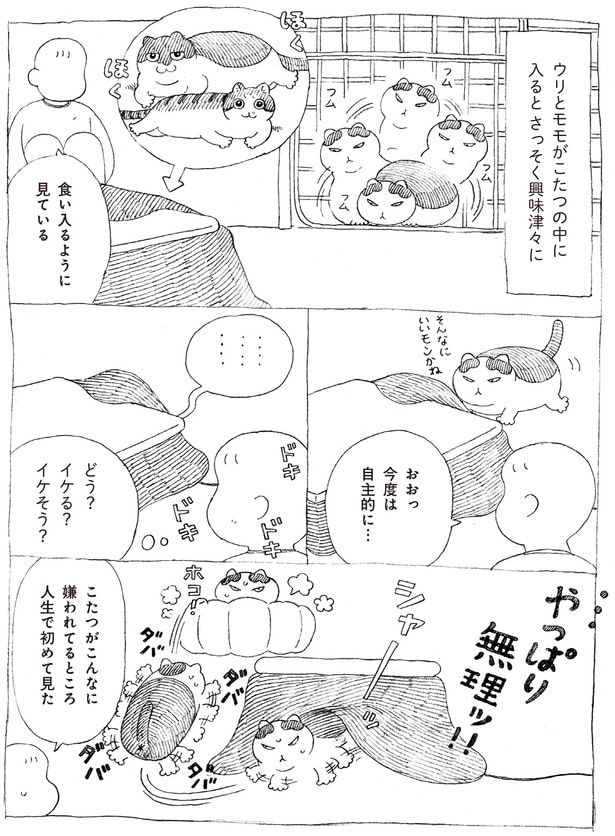 やっぱり無理ッ!!