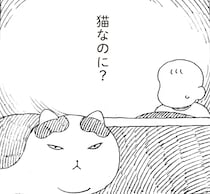 猫なのに？こたつが嫌いですぐに出てくる元野良猫