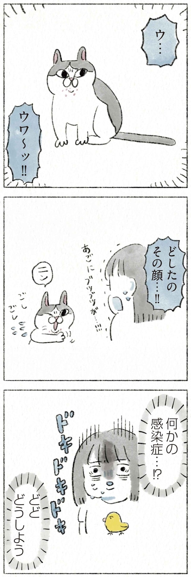 どしたのその顔…！！