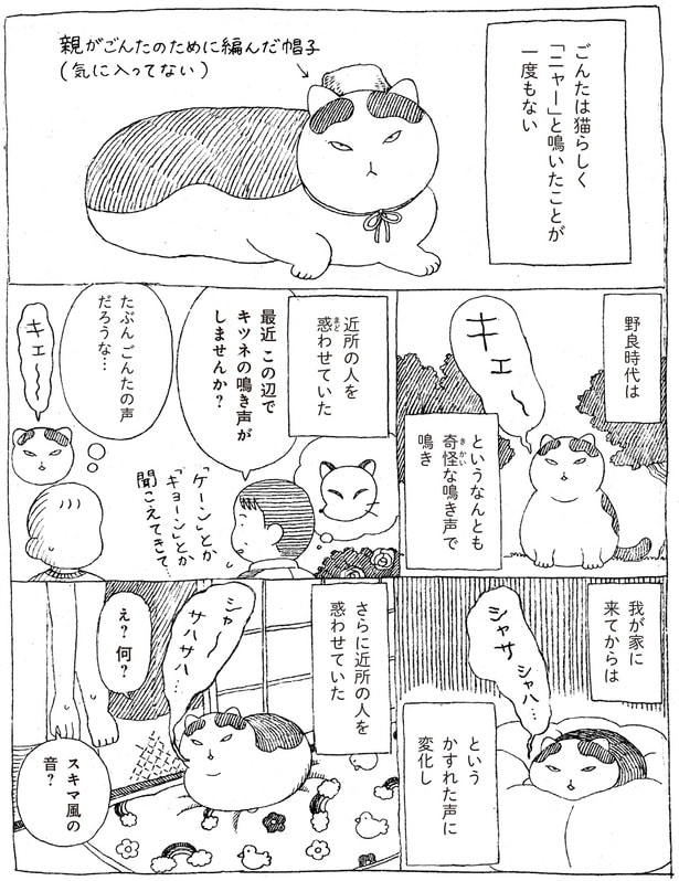 「ニャー」と鳴いたことが一度もない