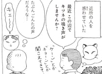 「ニャー」と鳴いたことのない猫。ご近所さんには狐と間違われて