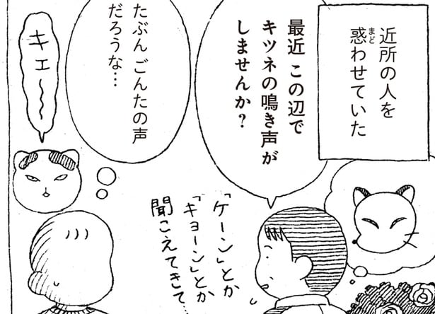 「ニャー」と鳴いたことのない猫。ご近所さんには狐と間違われて
