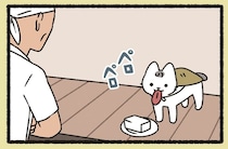 新作の試食担当？ 豆腐屋さんで飼われている「とうふこぞう」の仕事っぷり