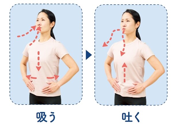 基本の腹式呼吸