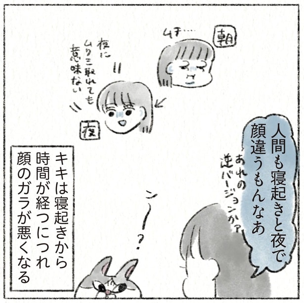 人間も寝起きと夜で顔違うもんなあ