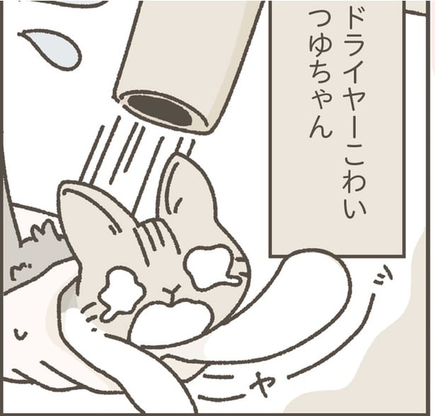 ドライヤーこわいつゆちゃん