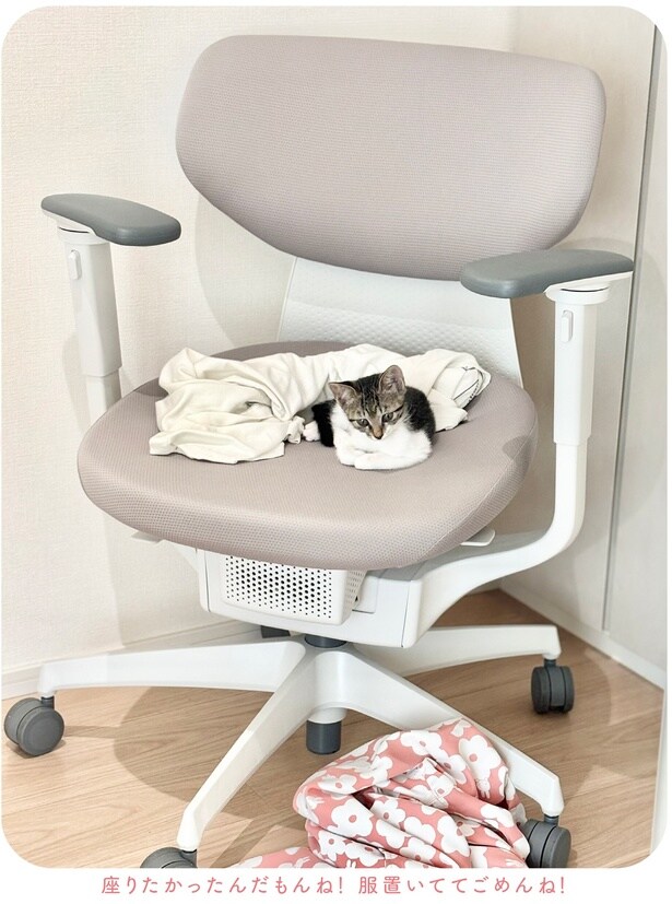 座りたかったんだもんね!